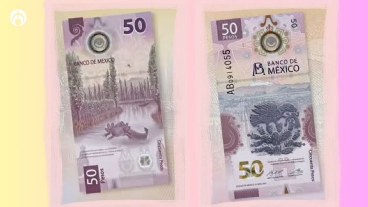 ¿Tienes este billete de 50 pesos? Gana con el ajolopeso millonario hasta 5 millones de pesos