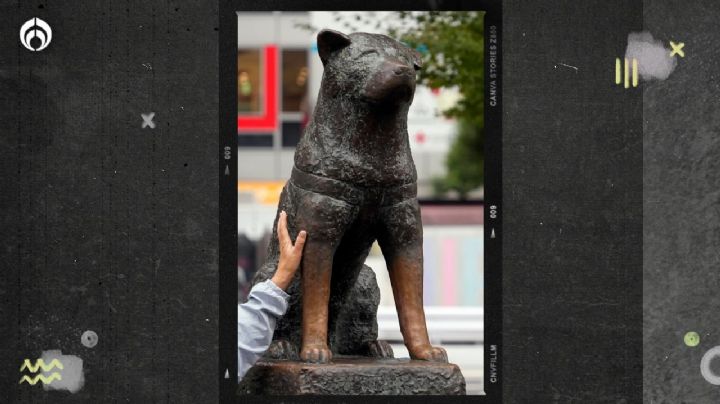 Hachiko: 100 años esperando a su dueño en una estación de tren de Tokio