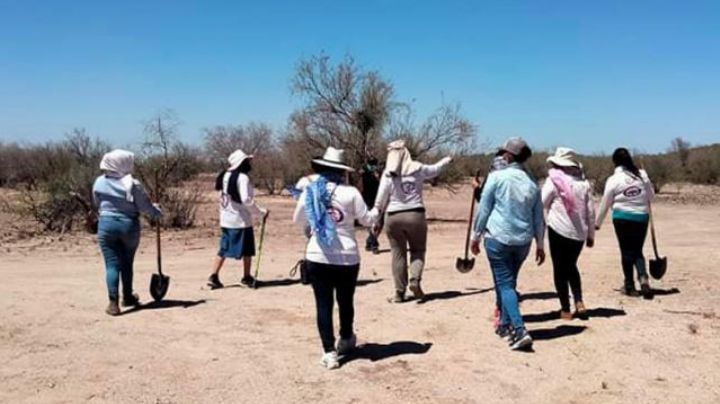 (VIDEO) Localizan fosa clandestina con al menos dos cuerpos cerca de comunidad Triqui