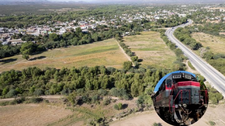 Tren Maya vía Sonora: estudios sobre impacto ambiental serán presentados el próximo año