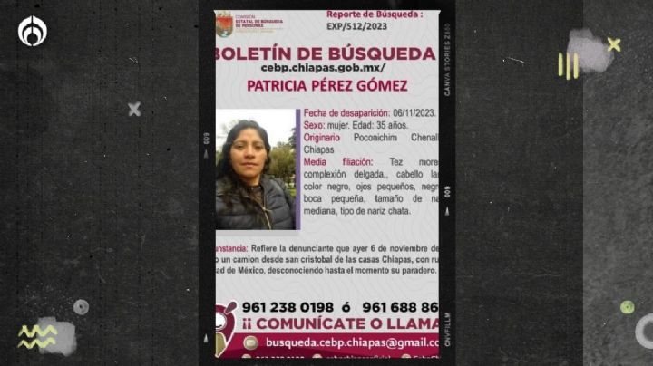 Denuncian desaparición de Patricia Pérez Gómez, activista defensora de migrantes