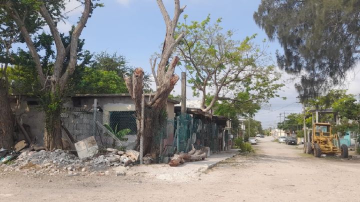 Familias de Madero padecen inclemencias del clima; autoridades ayudan con ropa invernal