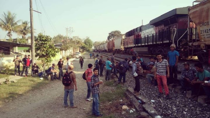 Son cientos pero estan solos: caravana de migrantes sufren abandono en su camino al norte