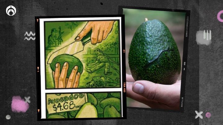 Así 'controla' el narco mexicano el negocio del aguacate, según cómic francés