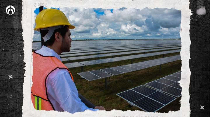 Empleos verdes: ¿cuánto gana un técnico en paneles solares?