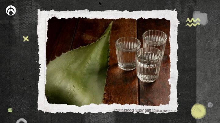 Descubre cuál es la diferencia entre tequila reposado y cristalino