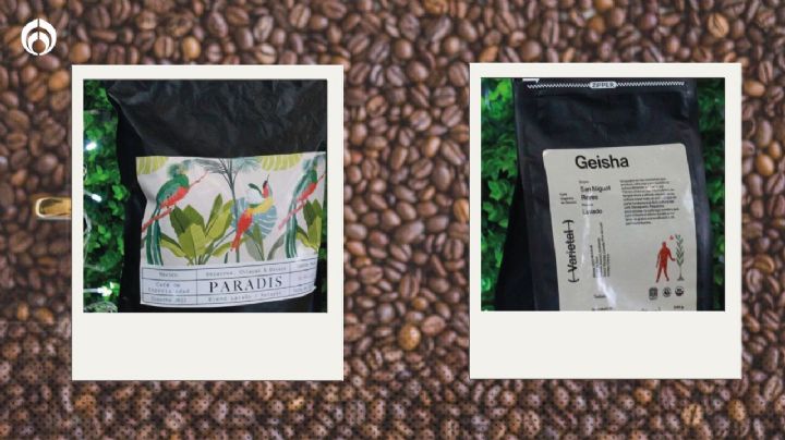 Pa' despertar y saborear: estas son las mejores marcas de café oaxaqueño