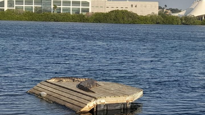 Laguna del Carpintero ¿una atracción turística cada vez más peligrosa?