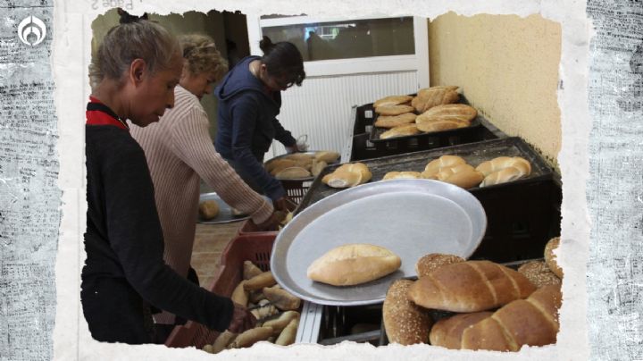 Pa´l susto o una torta: El TRUCO para que tu pan no se eche a perder