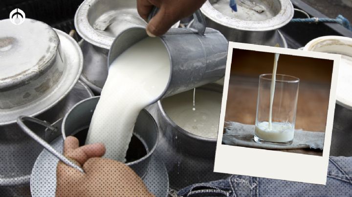 ¿Cuál es la mejor marca de leche en Polvo? Esta es la palomeada por Profeco