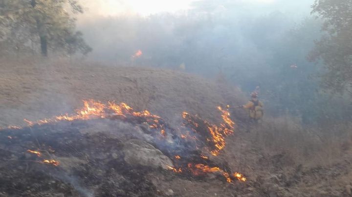 (VIDEO) Arde 'La Primavera': 2 aeronaves y 150 bomberos combaten el incendio en el bosque