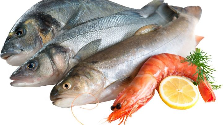 ¡No todo es Tilapia! 3 pescados nutritivos para esta Cuaresma
