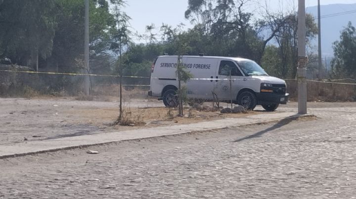 Mueren asfixiados 2 personas en Buenavista; fueron cubiertos con ramas para pasar desapercibidos