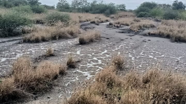 Más derrames y angustia en la siembra: se registra otra fuga de hidrocarburos en Altamira