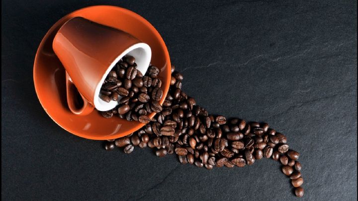 ¿Café normal vs. descafeinado? Descubre cuál es más sano para ti