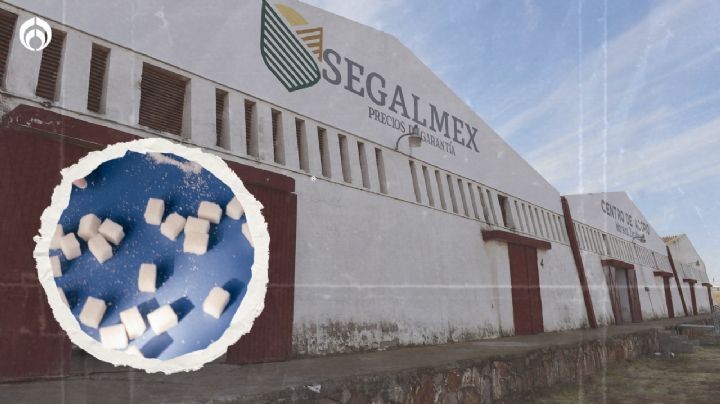 Caso Segalmex: Liberan al funcionario 'machuchón'... y vinculan a proceso a 4 'peces flacos'