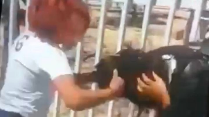 (VIDEO) Golpiza entre 2 alumnas en La Paz termina con el desmayo de una de la jóvenes