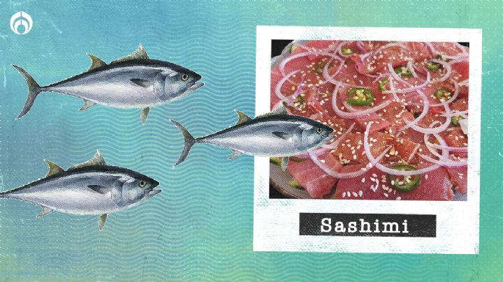 Conoce la combinación perfecta de Semana Santa 2023: Sashimi de atún y una playa de BCS