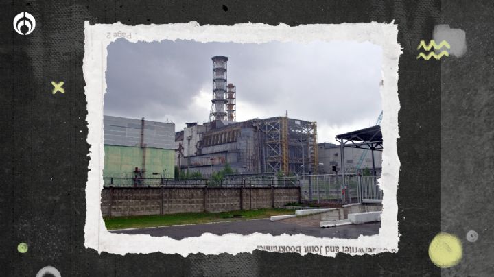 Perritos radioactivos de Chernobyl… nadie sabe cómo han vivido tanto