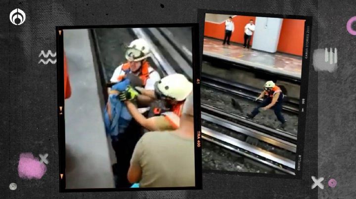 Metro CDMX se pone ‘raro’: así fue el rescate de una ¡gallina! en las vías (VIDEO)