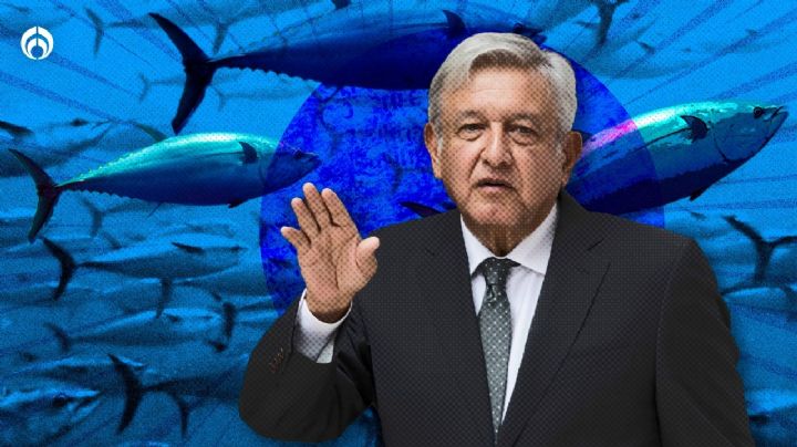 ¿Alguien puede pensar en los peces? Iniciativa de AMLO pone en riesgo producción y hasta a especies marinas