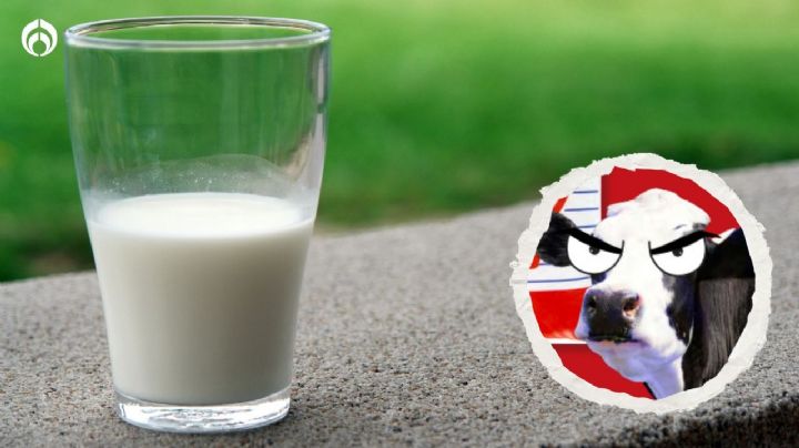 Así puedes identificar si la leche es original o ‘pirata’