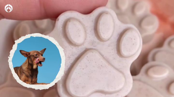 Perritos: ¿Qué son las gomitas de colágeno para 'lomitos' y como se preparan?