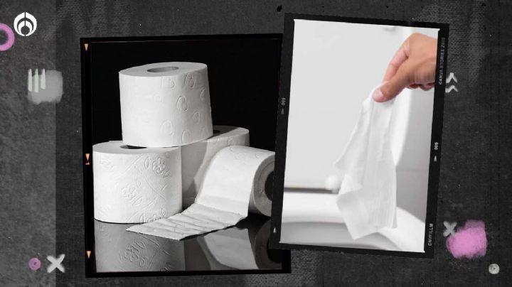 Papel de baño vs. toallitas húmedas: ¿qué es mejor para el aseo personal?