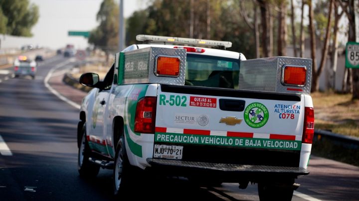 Tras 11 años de ausencia regresan los 'Ángeles Verdes' a Cozumel