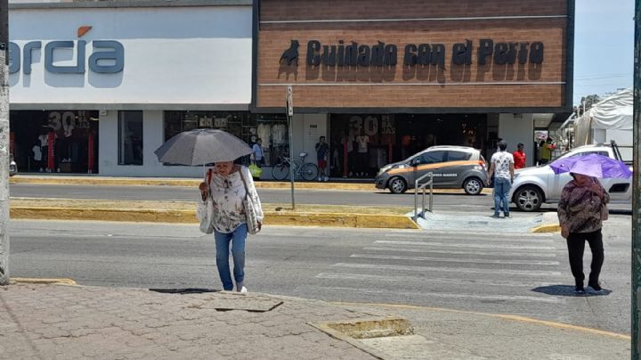 Comerciantes piden a CFE que renueve instalaciones para evitar bajones de energía ante ola de calor