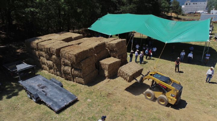 Sequía en Querétaro: campesinos sin siembra y diez presas se encuentran vacías