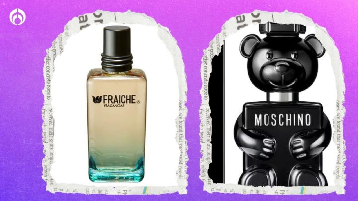 3 perfumes que huelen como Toy Boy de Moschino pero duran más y cuestan menos de 500 pesos