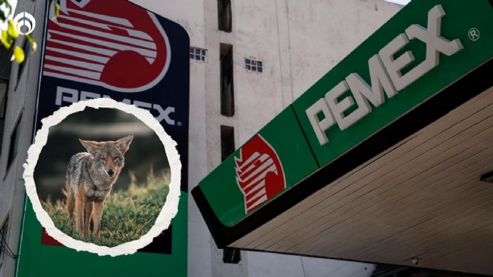 Coyotes ‘acechan’ a Pemex: intermediarios lucran con deudas de la petrolera