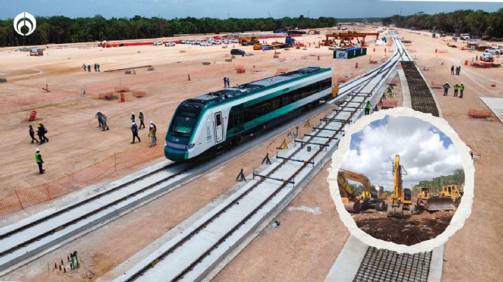 Definitivo: Tribunal internacional afirma que el Tren Maya es un ecocidio