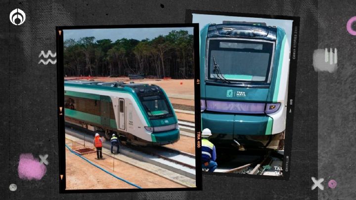 'Stop Tren Maya': protestan en Berlín contra la obra insignia de AMLO