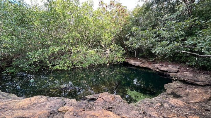 Conoce los nuevos prospectos para nuevas áreas naturales protegidas en Quintana Roo