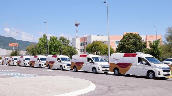 Municipio de Tampico es cuarto lugar en violencia intrafamiliar en Tamaulipas