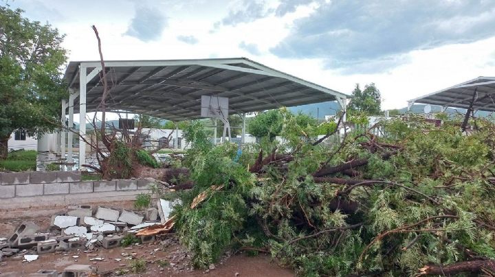 Huracán Hilary: emiten alerta verde en Sonora; se esperan vientos fuertes y constantes lluvias