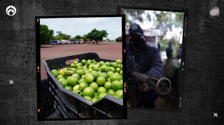 Peleas de narcos pegan a limoneros en Michoacán y amenazan distribución en el país