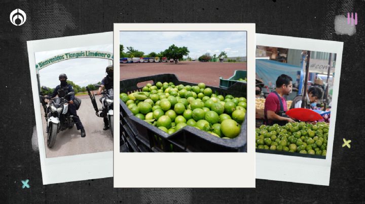 La guerra por el limón: Narco ataca empacadoras con drones para controlar la producción en Michoacán