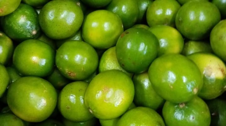 ¡Hay limones! Garantizada la producción y abasto del producto en Michoacán