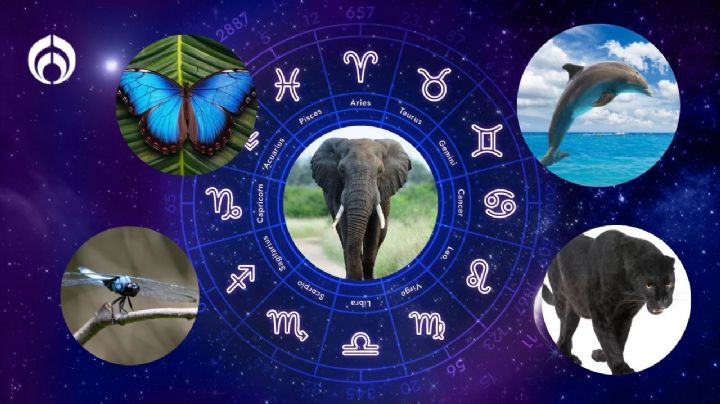 Dime tu signo zodiacal y te diré en qué animal vas a reencarnar