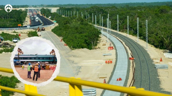 Aceleran construcción del Tren Maya: AMLO expropia 147 hectáreras en el sureste