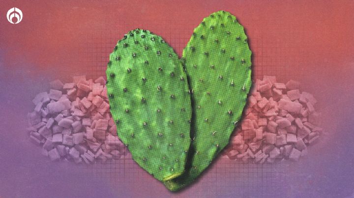 ¿Cuáles son los beneficios de comer nopal?