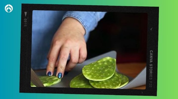 ¿Cómo conservar los nopales por más tiempo en el refrigerador? Checa el truco de Profeco