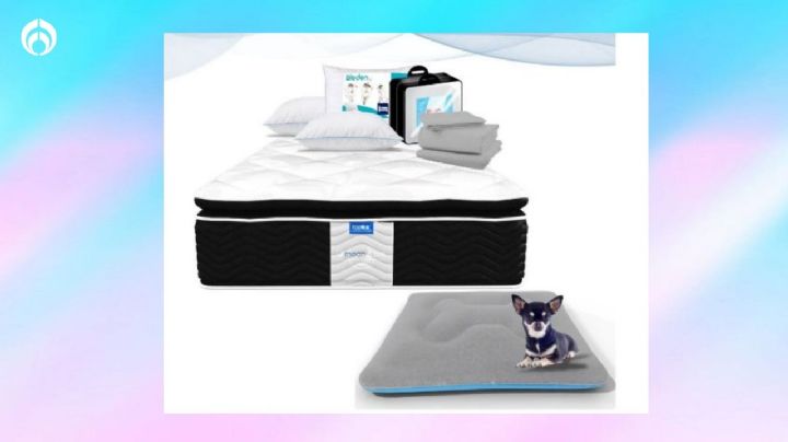 Walmart lanza paquetazo en colchón anti ácaros con regalo de almohadas y cama para perritos