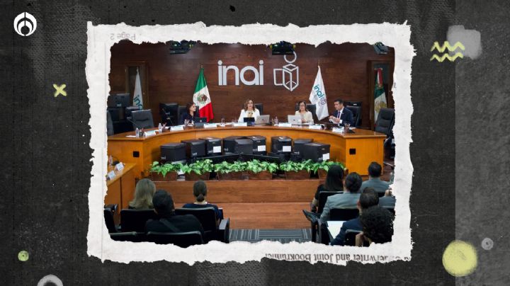 Inai, en 'auge': Recibe 500 recursos de revisión por semana, según comisionada