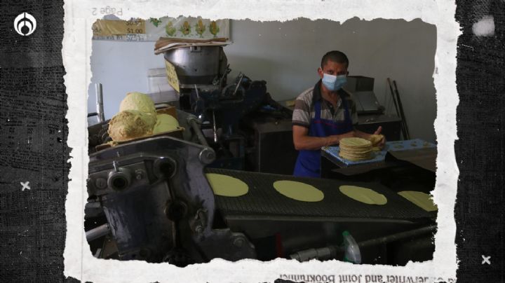 Tortillas, en la mira del narco: criminales cobran hasta 4 mdp al mes en Edomex