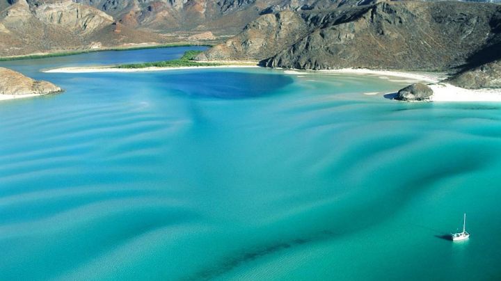 Estas personas podrán entrar ¡Gratis! a una de las playas mas bellas del mundo en BCS