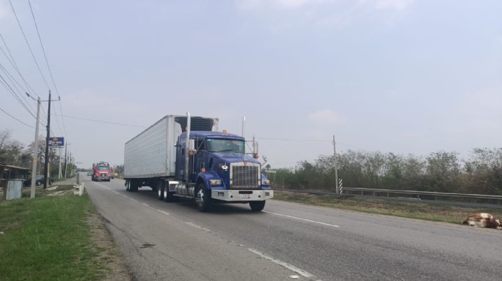 Transportistas de Tamaulipas prevén unirse a paro nacional por constantes robos en carreteras